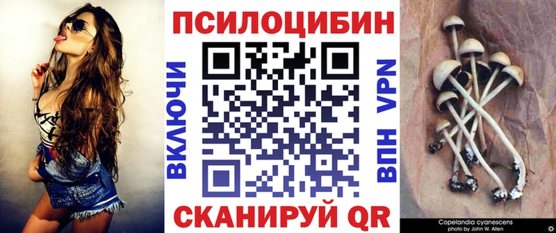 дарнет шоп  Солнечногорск  ссылка на мегу ТОР  Галлюциногенные грибы GOLDEN TEACHER 